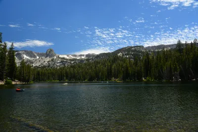 DSC_0004 (Large).JPG